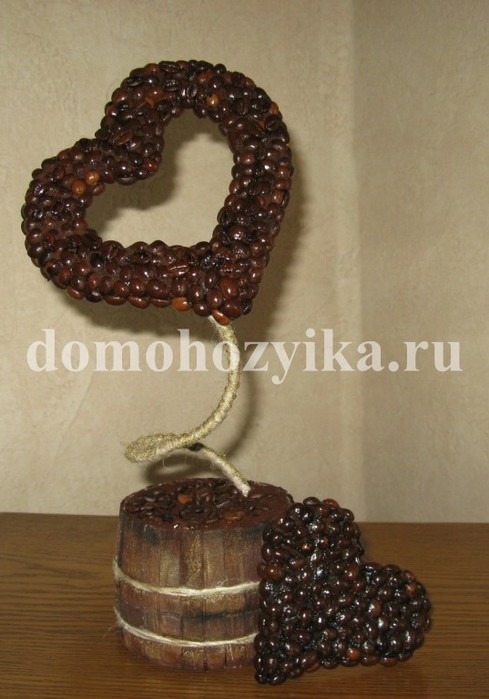 Кофейные деревья своими руками поэтапно